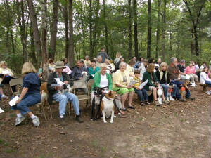sfd200915.jpg