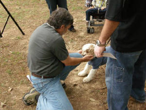 sfd2009perry.jpg